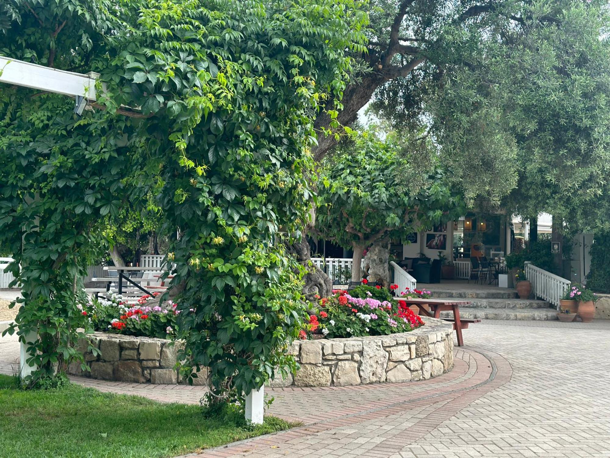 Amnisiades Apartments Karteros Buitenkant foto